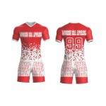 OEM sublimation football shirts – uniforms for football clubs, men’s customized player-edition jerseys OEM sublimation football shirts – uniforms for football clubs, men’s customized player-edition jerseys